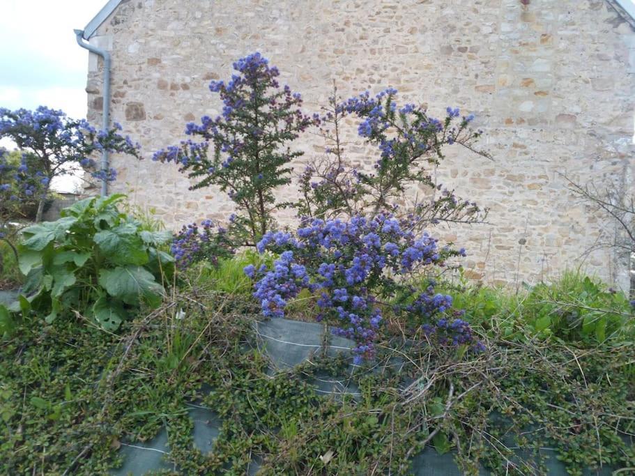 Maison Bord De Mer Individuel Gouville-sur-Mer 외부 사진